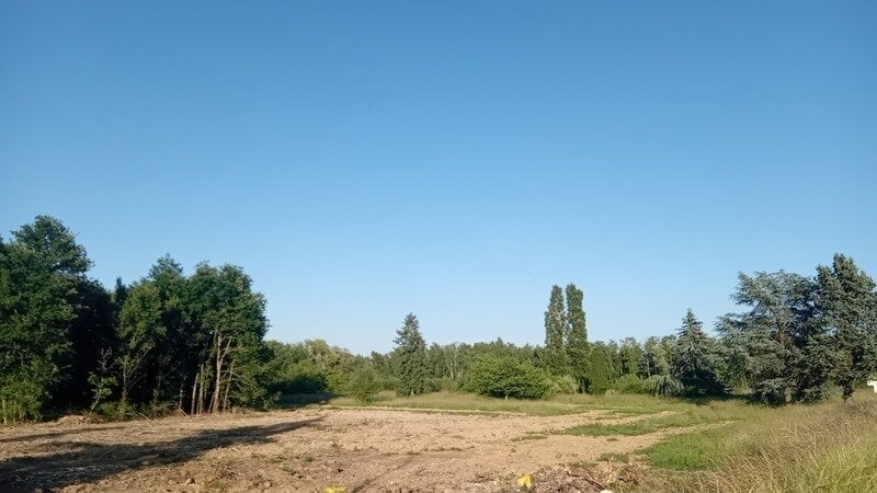Vue d'un terrain vague nettoyé avec des arbres en arrière-plan et un ciel bleu dégagé.